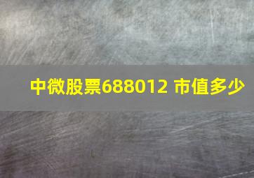 中微股票688012 市值多少